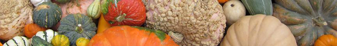 Sliding Image